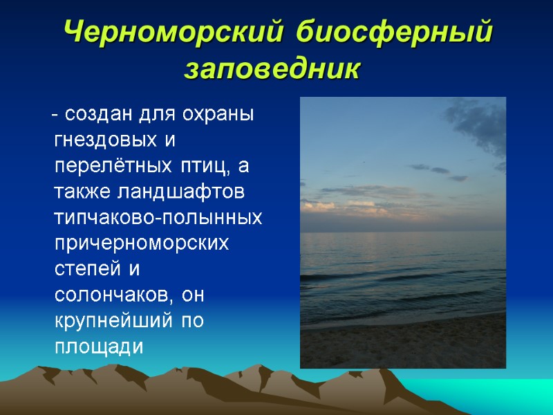 Черноморский биосферный заповедник      - создан для охраны гнездовых и